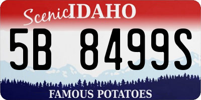 ID license plate 5B8499S