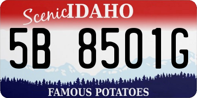 ID license plate 5B8501G