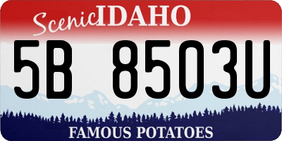 ID license plate 5B8503U