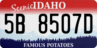 ID license plate 5B8507D