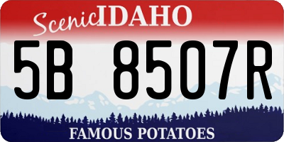 ID license plate 5B8507R