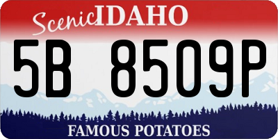 ID license plate 5B8509P