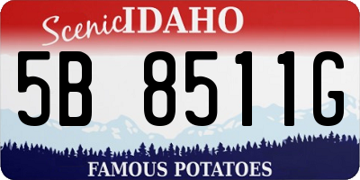 ID license plate 5B8511G