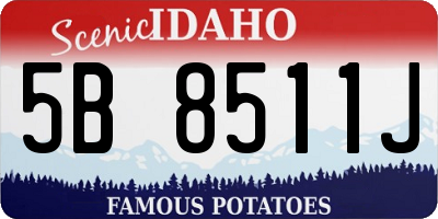 ID license plate 5B8511J