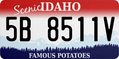 ID license plate 5B8511V