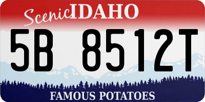 ID license plate 5B8512T