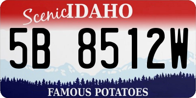 ID license plate 5B8512W