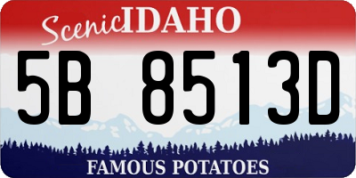 ID license plate 5B8513D