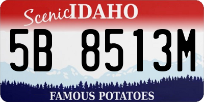 ID license plate 5B8513M