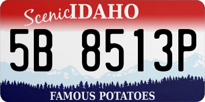 ID license plate 5B8513P