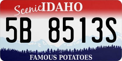 ID license plate 5B8513S