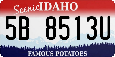 ID license plate 5B8513U