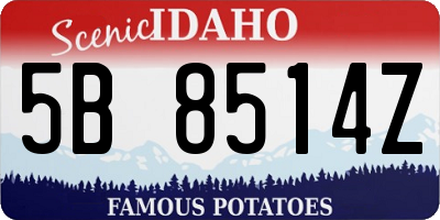 ID license plate 5B8514Z