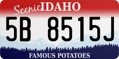 ID license plate 5B8515J