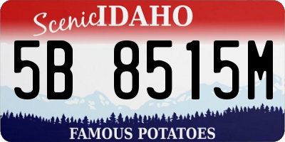 ID license plate 5B8515M