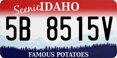 ID license plate 5B8515V