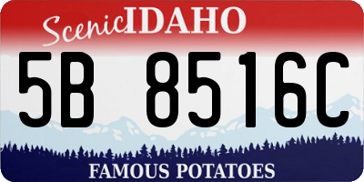 ID license plate 5B8516C