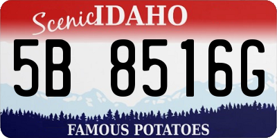 ID license plate 5B8516G