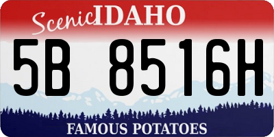 ID license plate 5B8516H