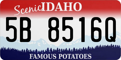 ID license plate 5B8516Q