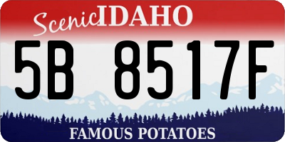 ID license plate 5B8517F