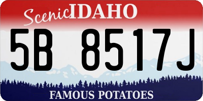 ID license plate 5B8517J
