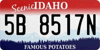 ID license plate 5B8517N