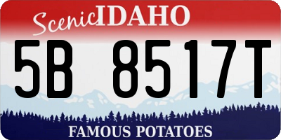 ID license plate 5B8517T