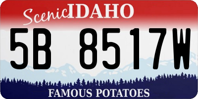 ID license plate 5B8517W