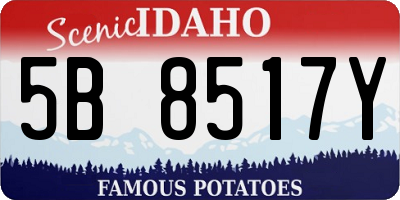 ID license plate 5B8517Y