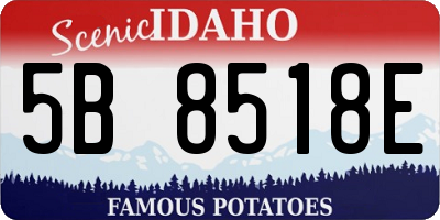 ID license plate 5B8518E