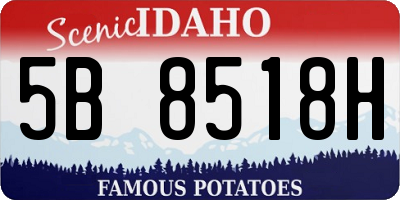 ID license plate 5B8518H