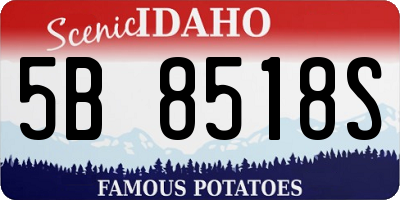 ID license plate 5B8518S