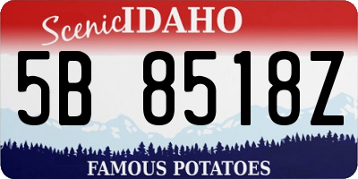 ID license plate 5B8518Z