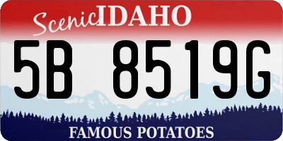 ID license plate 5B8519G