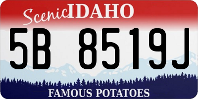 ID license plate 5B8519J