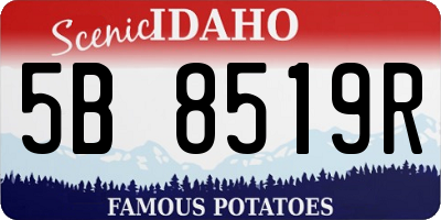 ID license plate 5B8519R