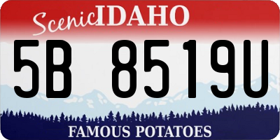 ID license plate 5B8519U