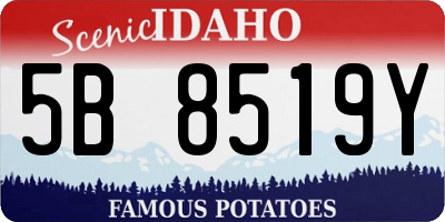 ID license plate 5B8519Y