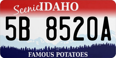 ID license plate 5B8520A