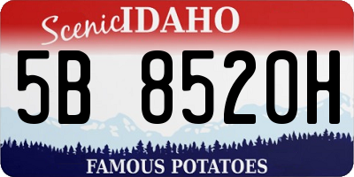ID license plate 5B8520H