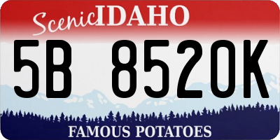 ID license plate 5B8520K
