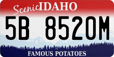 ID license plate 5B8520M