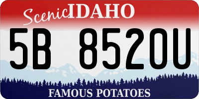 ID license plate 5B8520U