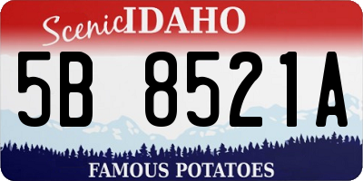 ID license plate 5B8521A