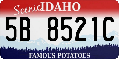 ID license plate 5B8521C