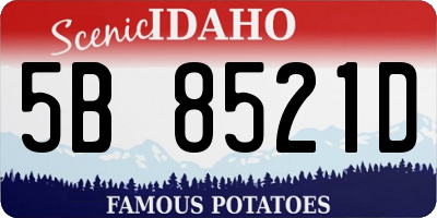 ID license plate 5B8521D