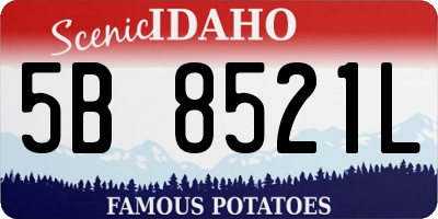ID license plate 5B8521L