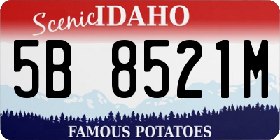 ID license plate 5B8521M
