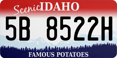 ID license plate 5B8522H